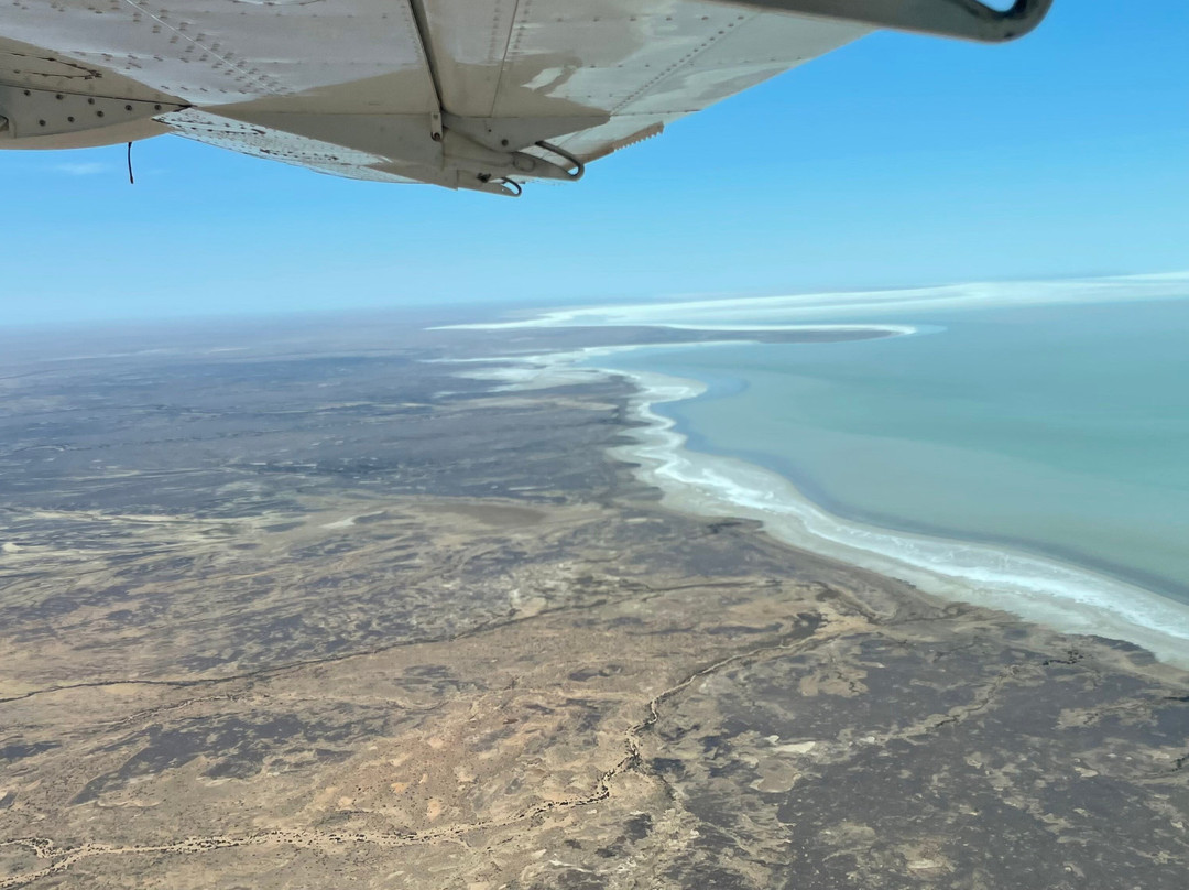 Gekko Safari - Outback Tours-Belair必去景点