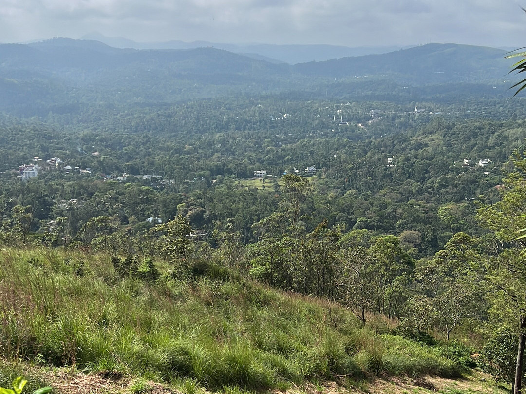 Windale Resort主图