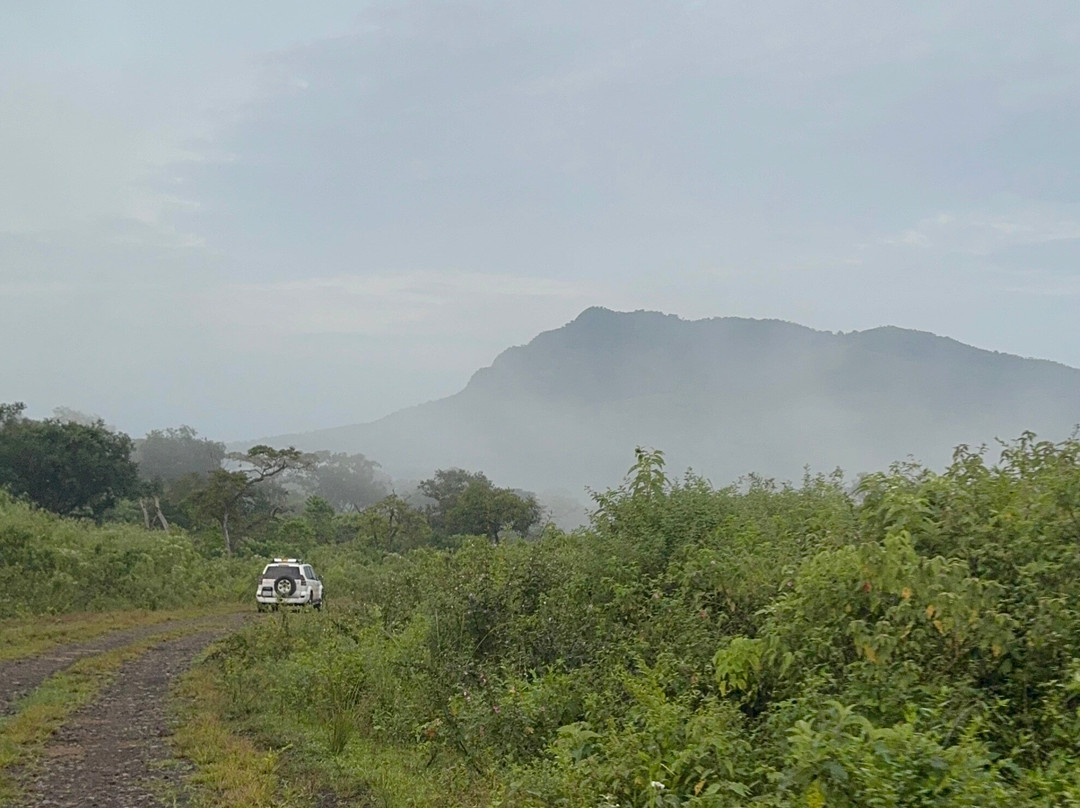 Vintage Ethiopia Tour And Travel-Jimma必去景点