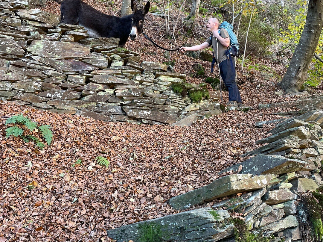 SIFE Asino Felice ASD APS-Villareggia必去景点