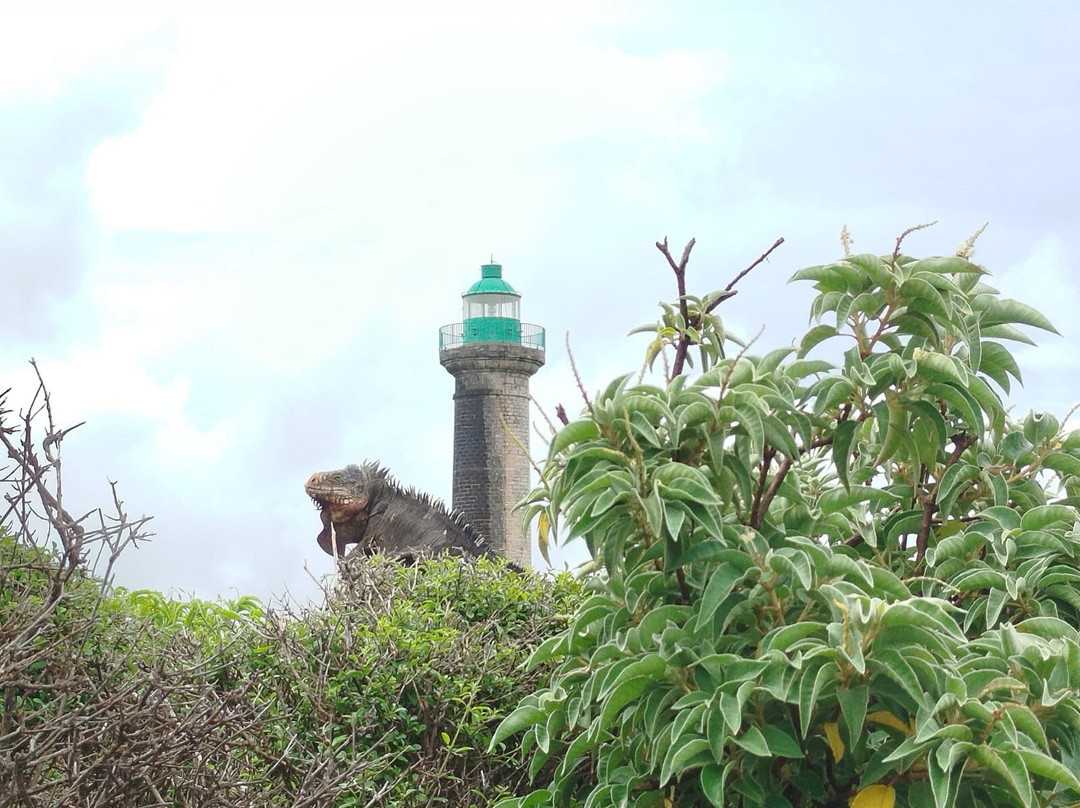 Authentique Excursion-Sainte-Anne必去景点