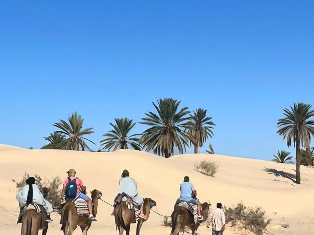 GSA-VOYAGES - Grand Sahara Aventures-杰尔巴岛必去景点