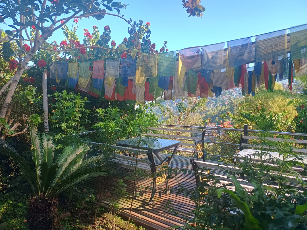 Sood's Himalayan Vista主图