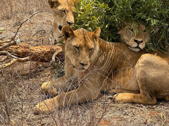 Kenya Dream-瓦塔木必去景点