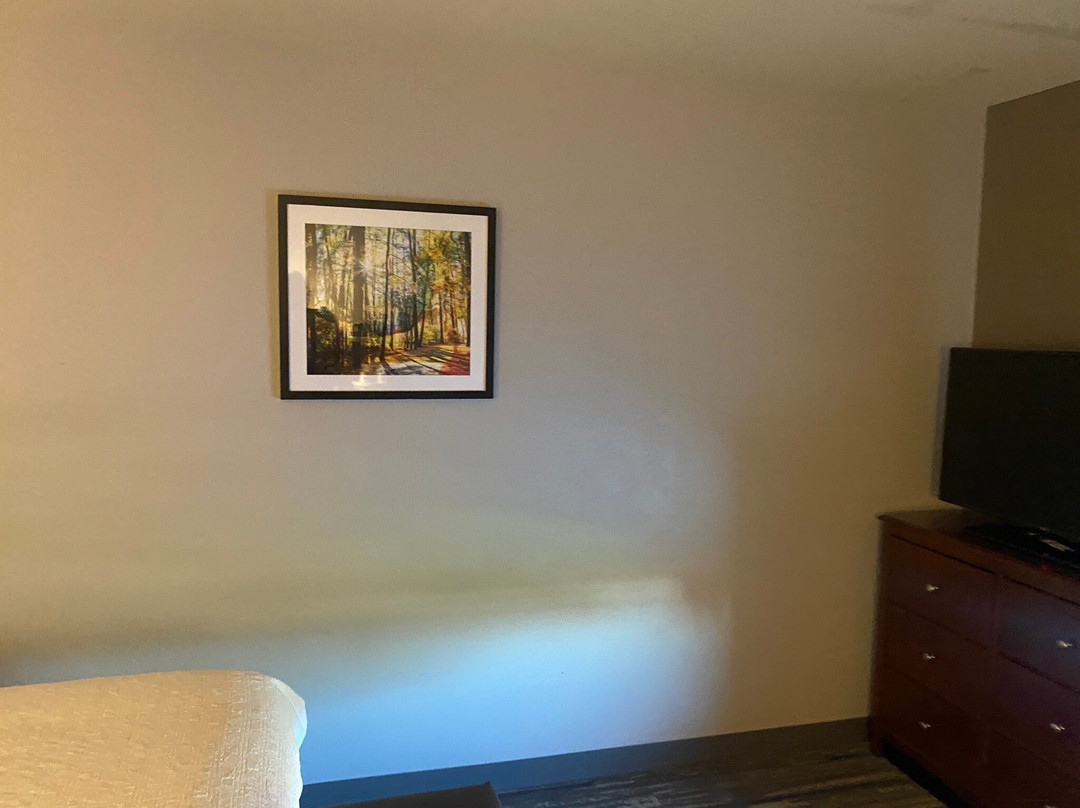 Hampton Inn & Suites Holly Springs主图