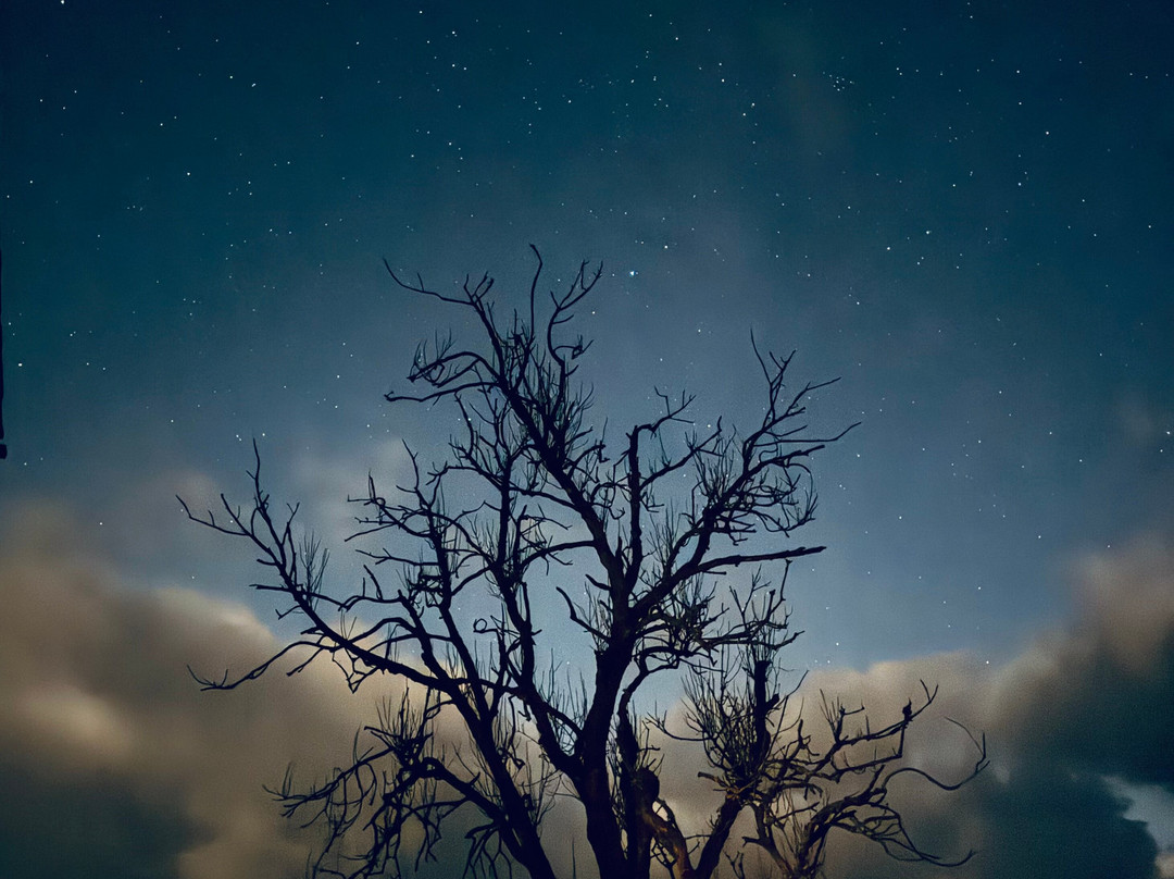 Nethergill Farm主图