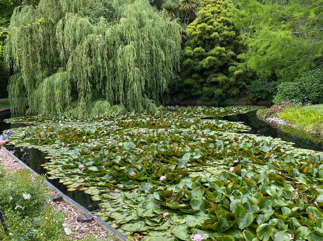 TreeChurch and Gardens-Ohaupo必去景点