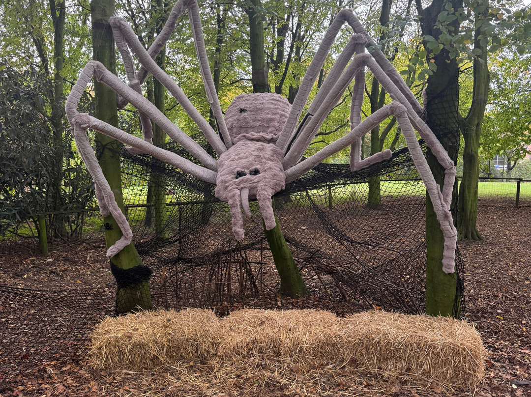 Askham Bryan Wildlife & Conservation Park-约克必去景点