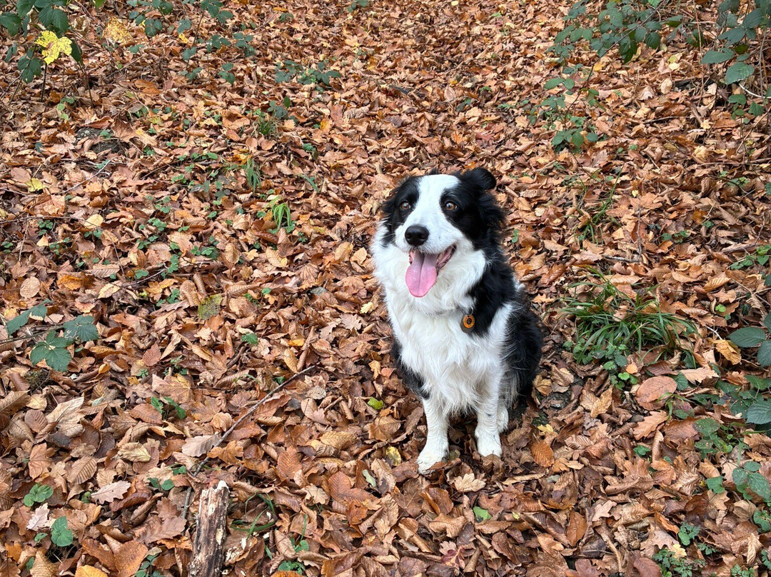 Monsieur Doute主图