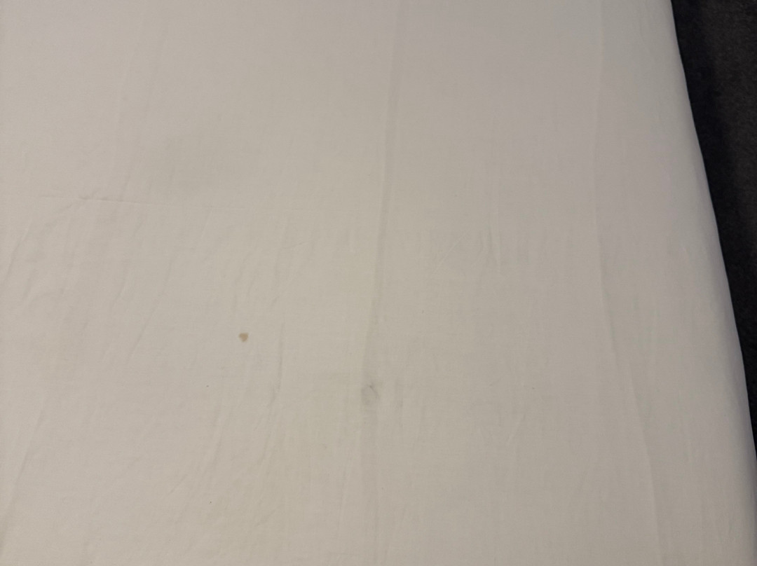 西陵敦王子大饭店主图