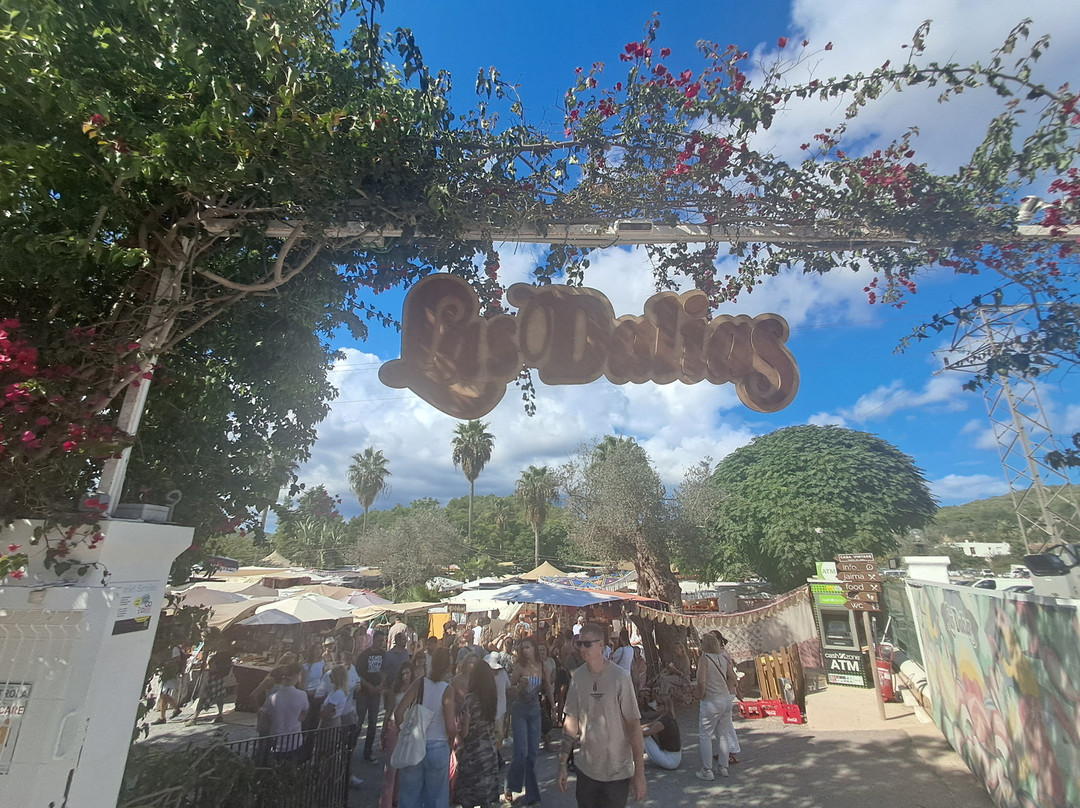 Mercadillo Las Dalias-Sant Carles de Peralta必去景点