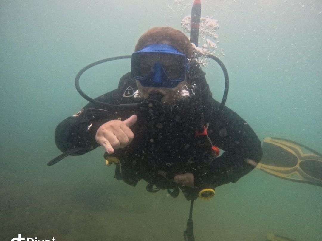 Oceano Sub Mergulho Ilhabela-伊利亚贝拉必去景点