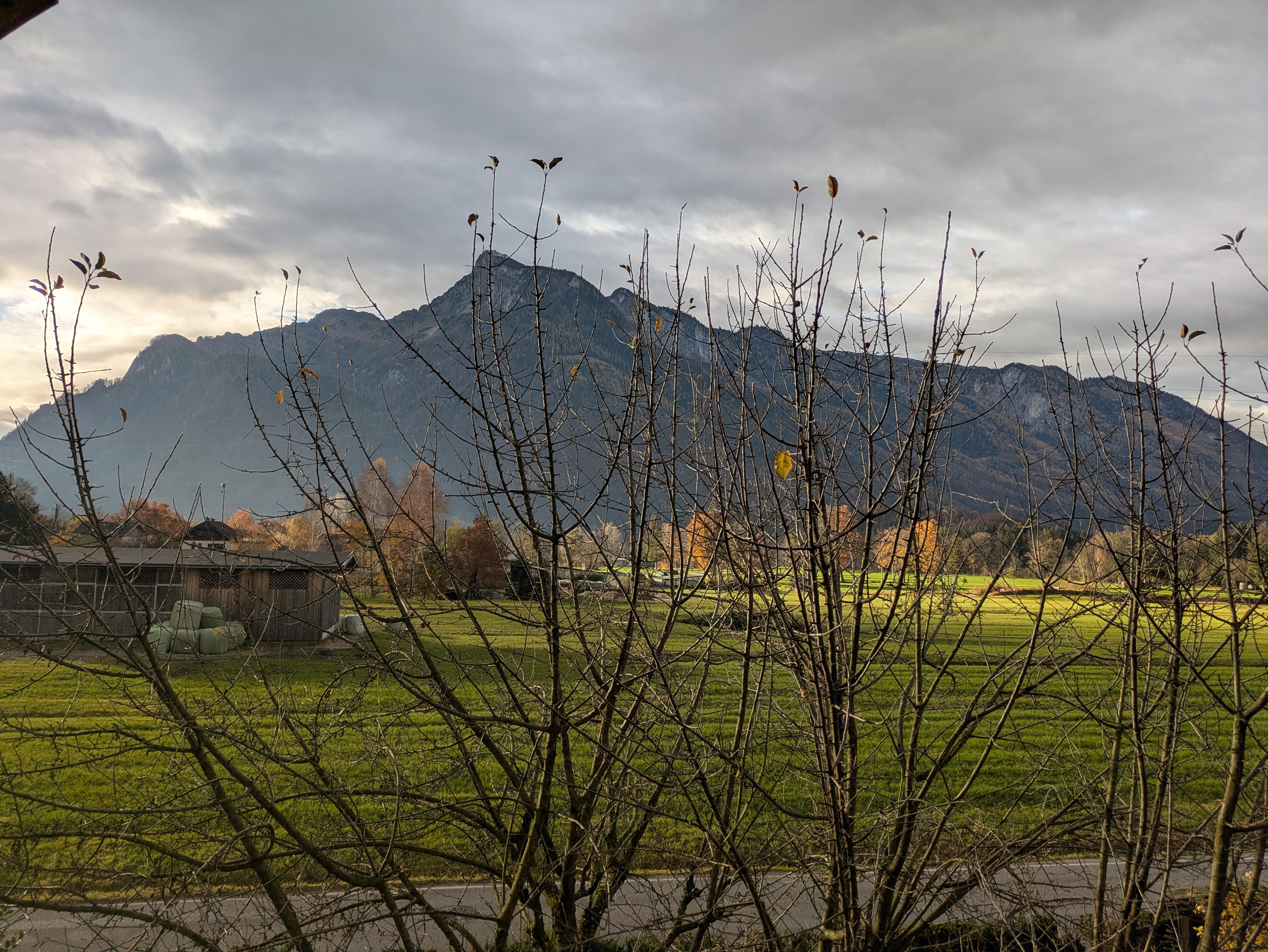 布劳伯格霍夫酒店 -官方