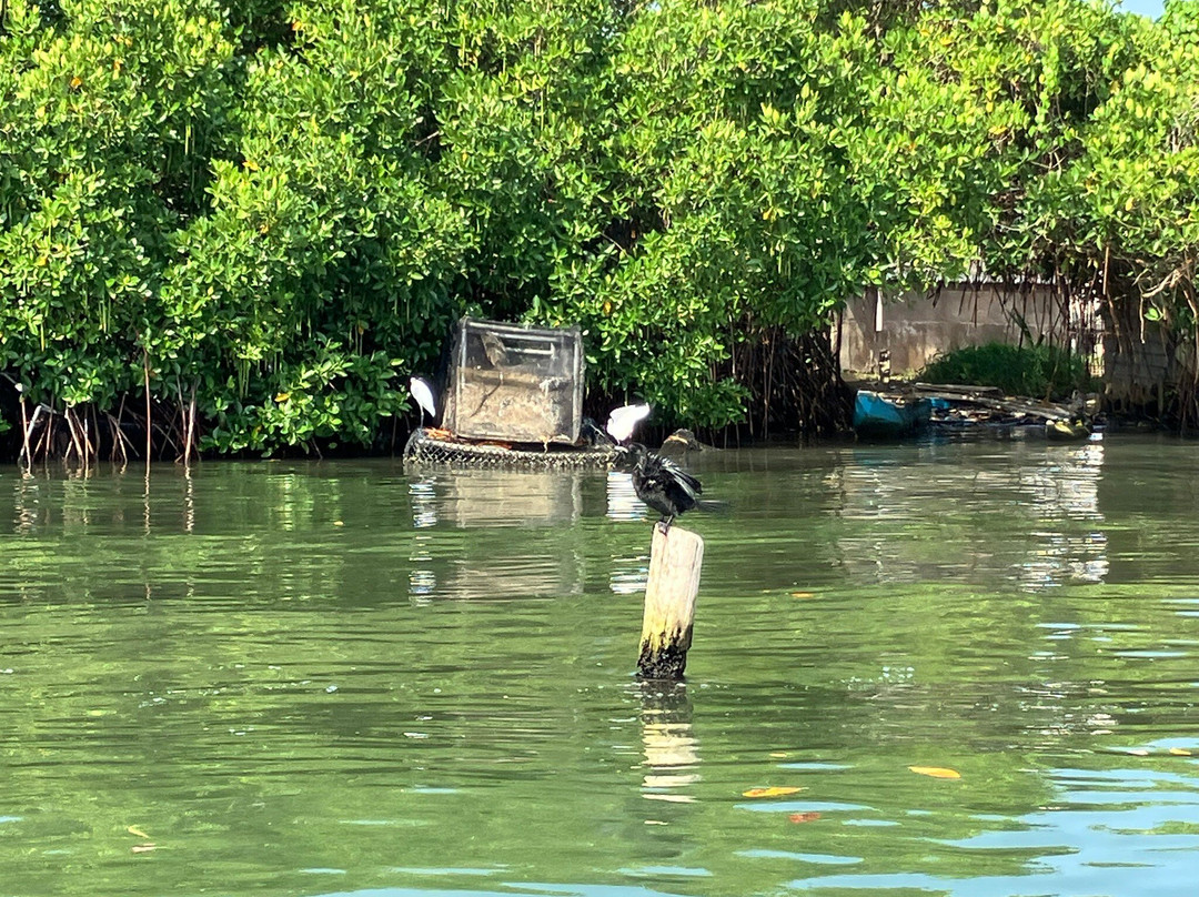 Liam Boat Safari-尼甘布必去景点