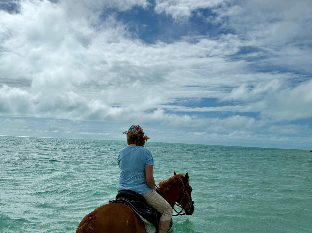 Provo Ponies-Long Bay Hills必去景点