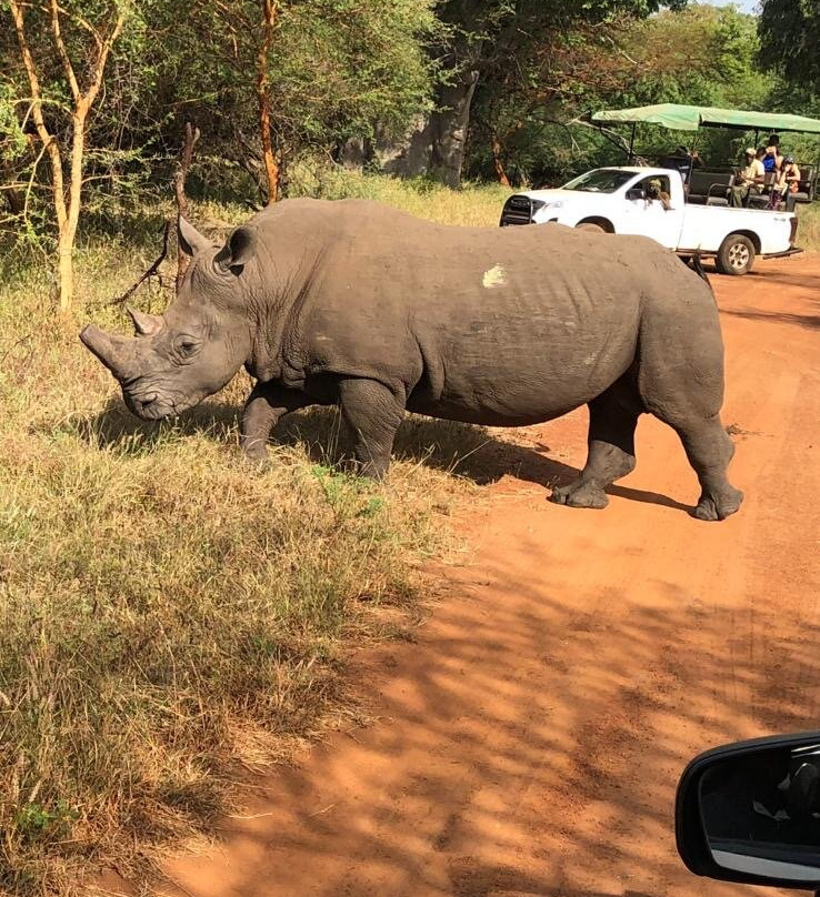 Senegal Decouverte-莫布瓦必去景点