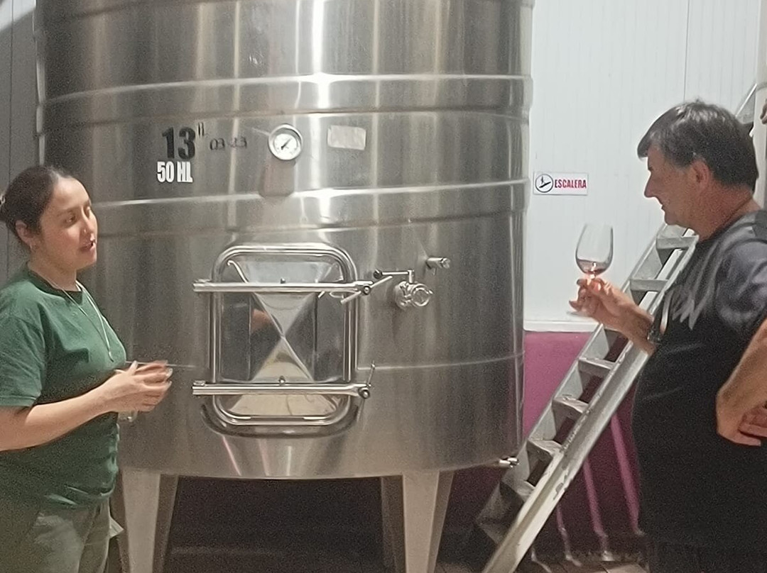 Laureano Gomez Winemaker-Colonia Las Rosas必去景点