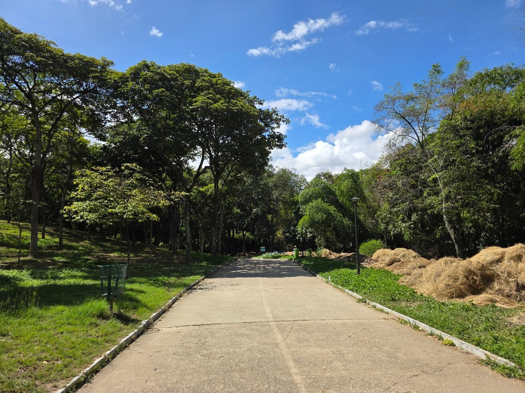Parque del Este-加拉加斯必去景点