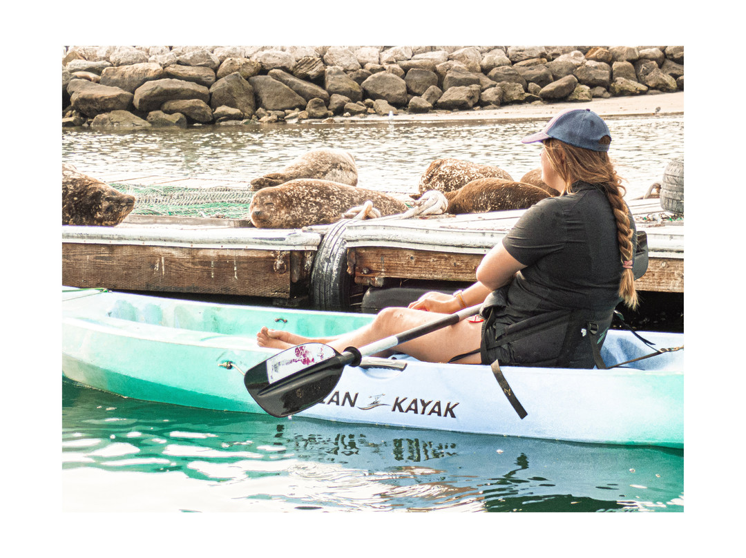 Cal Coast Adventures-圣巴巴拉必去景点