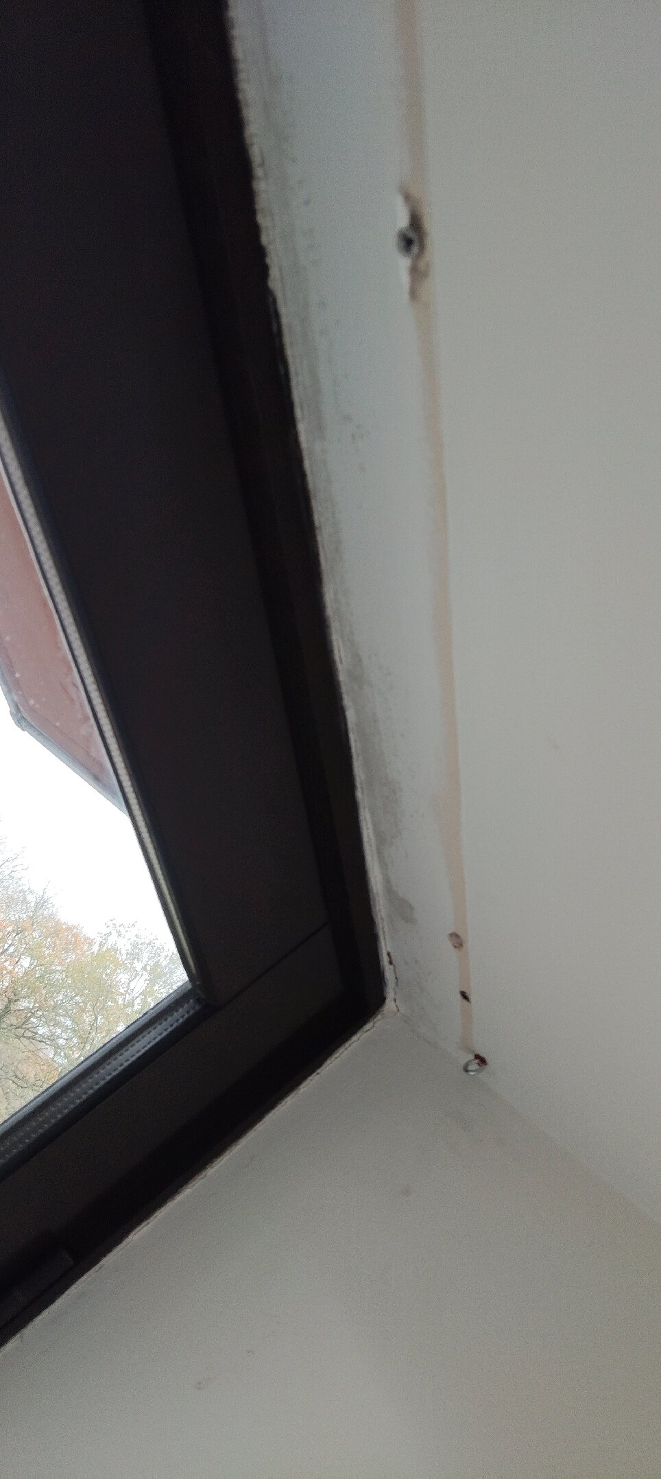 Woodbury Park-官方