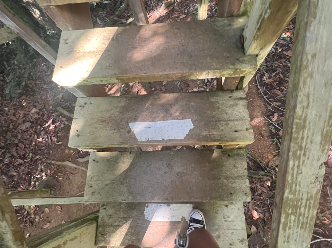 Runners Adventures-Las Galeras必去景点