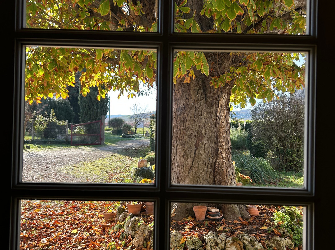 Cognac Michel Forgeron-Segonzac必去景点