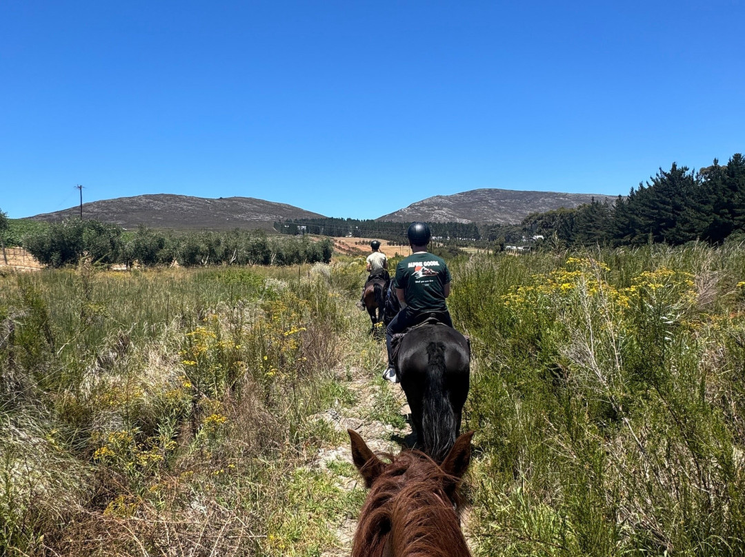 Heaven and Earth Trails-赫曼努斯必去景点