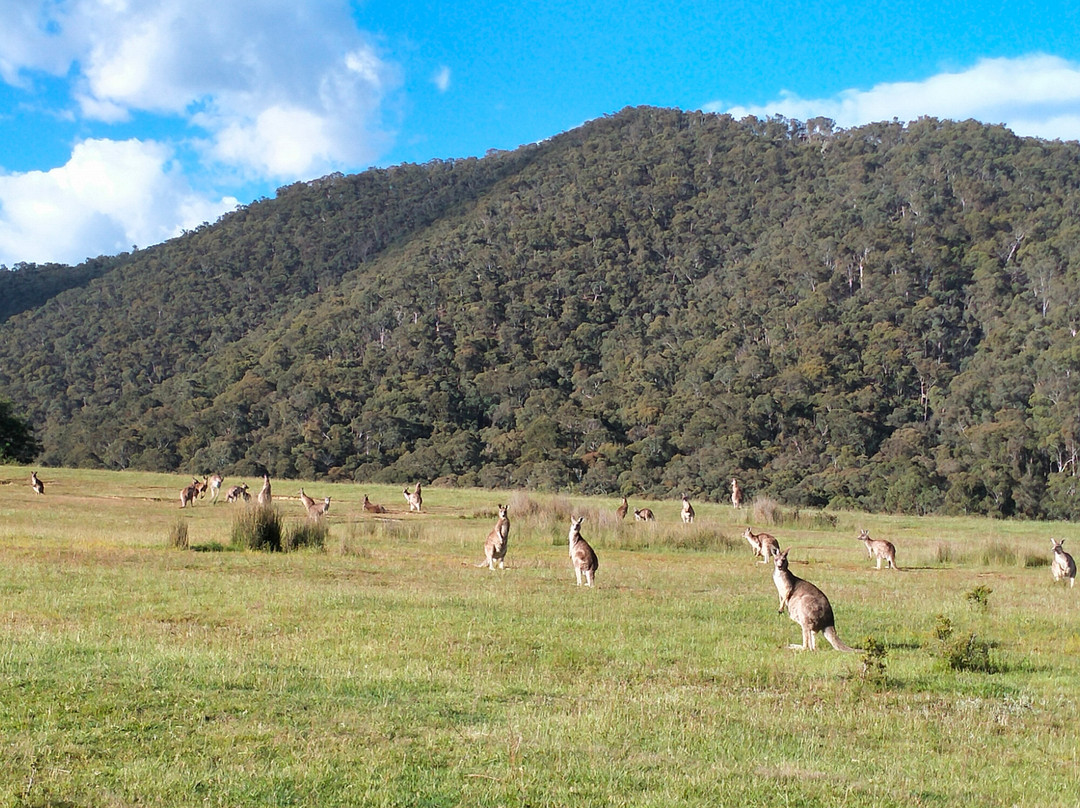 尖峰谷美诗铂高级服务公寓主图