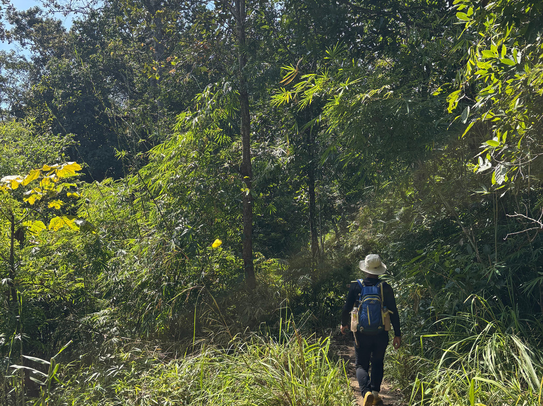 Chiang Mai Eco Trekking-清迈必去景点