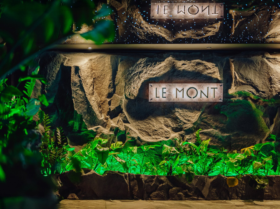 Le Mont Medical & SPA主图