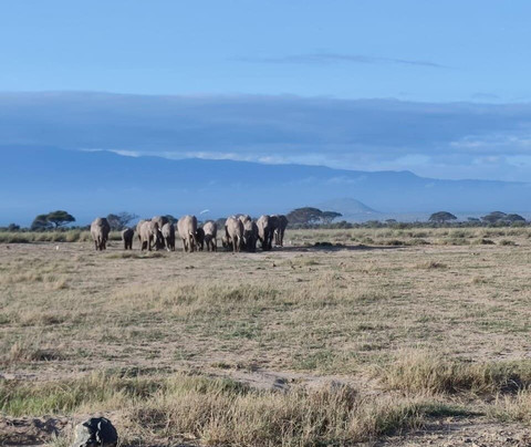 Viaggio Del Cuore-瓦塔木必去景点