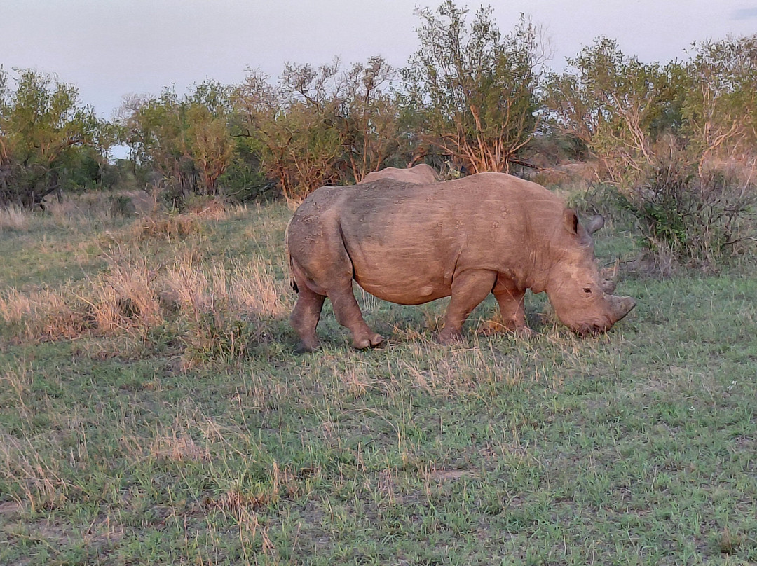 Kamaroutes travel Designers-Johannesburg South必去景点
