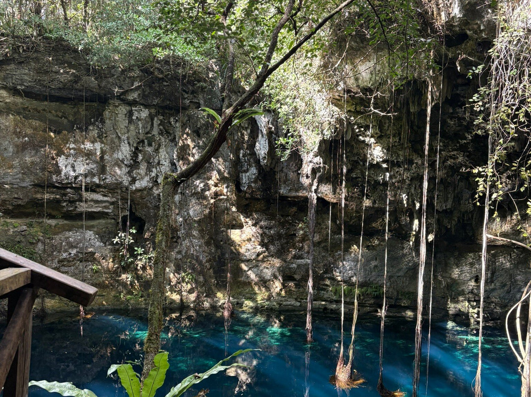 Experiencia Privada en Cenote Exclusivo-巴利亚多利德必去景点