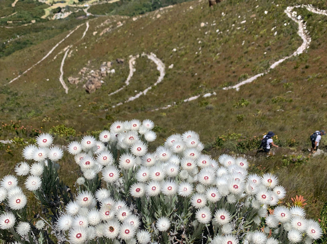 Wild Wellness-赫曼努斯必去景点
