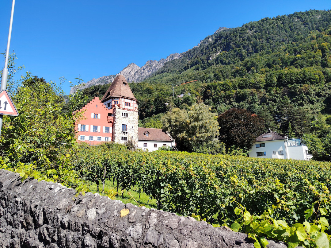 Liechtenstein Center-瓦杜兹必去景点