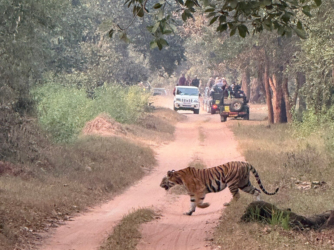 Bagh Tola, Bandhavgarh主图