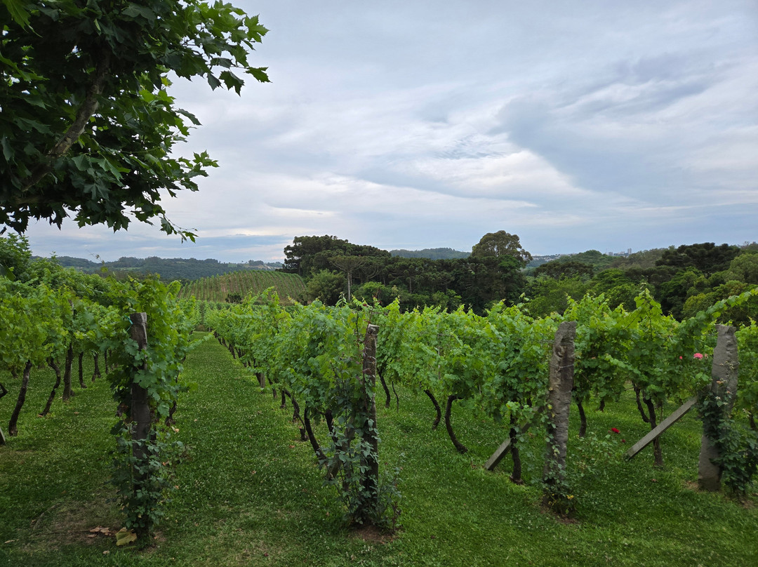 Vinhos Larentis-本图贡萨尔维斯必去景点