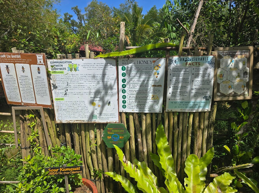 富国岛蜜蜂农场-富国岛必去景点