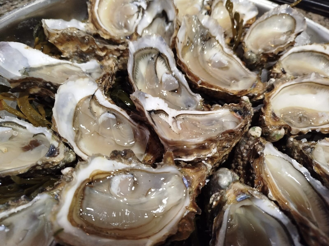 Le Sar Dîne - By El Daurado