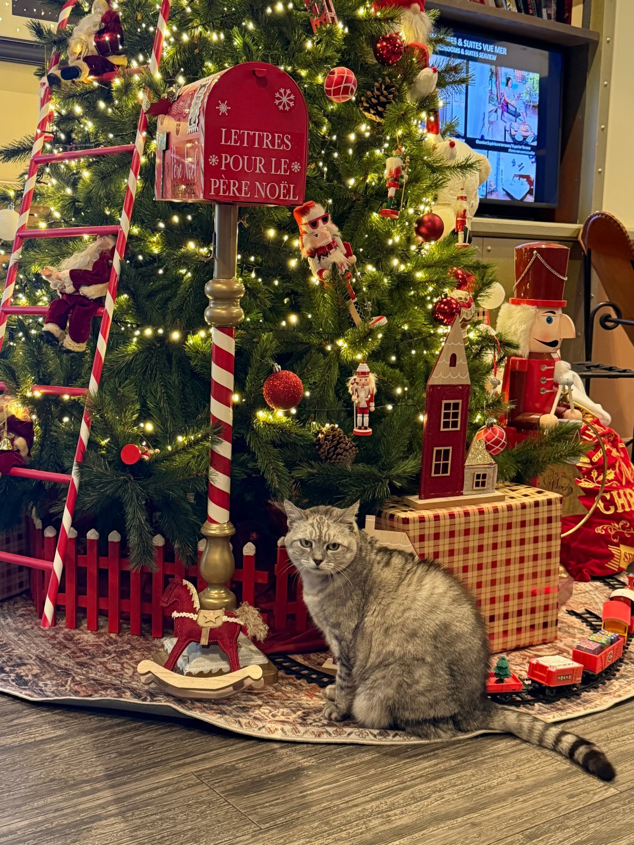 Best Western Hôtel Des Orangers-官方