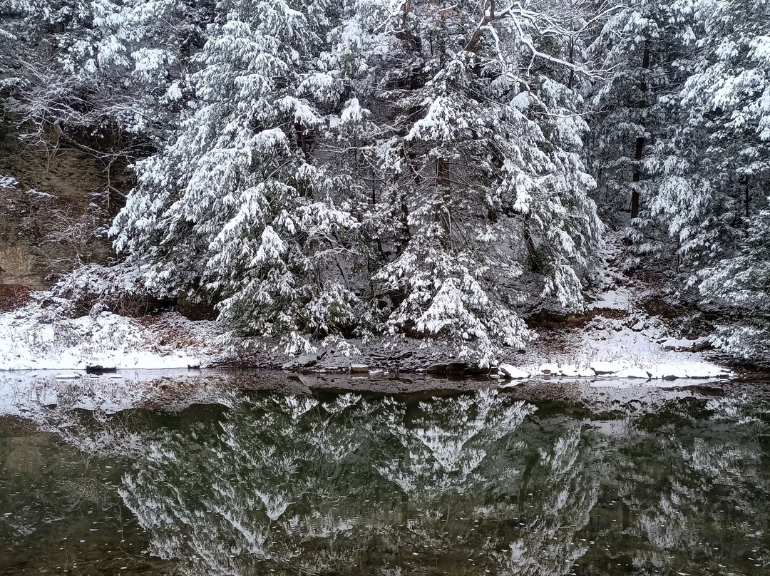Beaver Creek State Park-East Liverpool必去景点