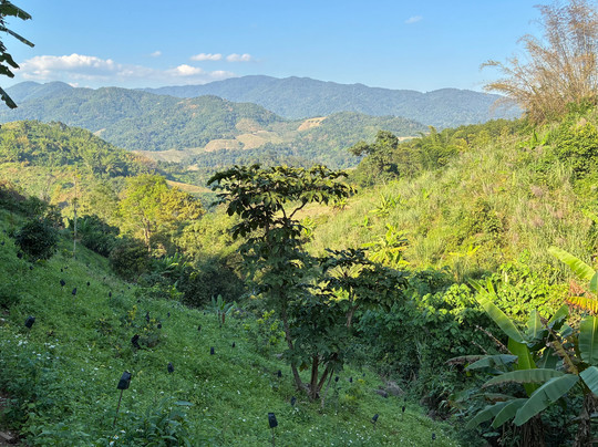 Parntrek-清莱必去景点