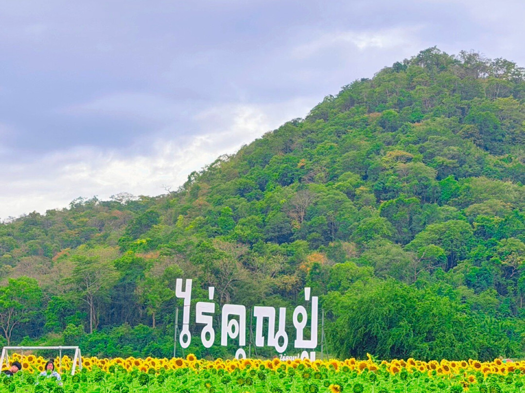 Sunflower Field-帕他那尼空必去景点