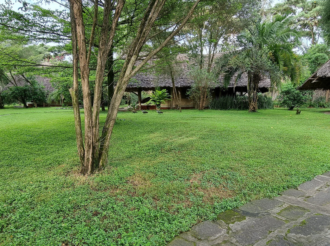 Flamingo Hill Tented Camp主图