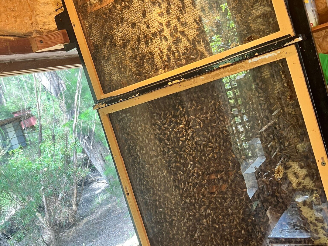 Bartholomews Meadery-丹麦必去景点