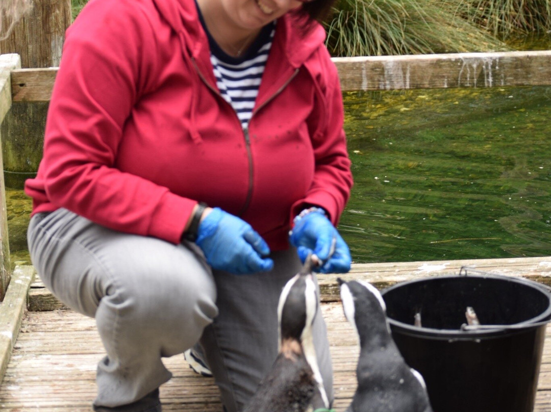 Birdworld-法纳姆必去景点