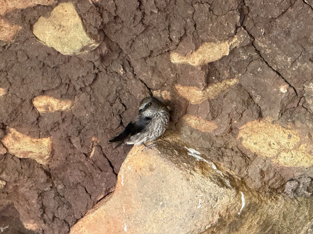 Les 7瀑布-黑河必去景点