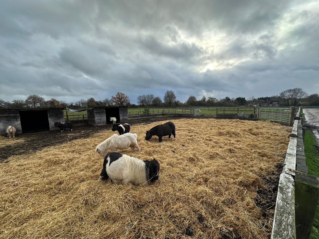 Redwings Ada Cole-Nazeing必去景点