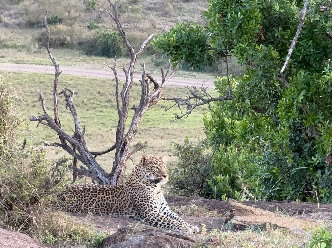 Rhythms of Nature-内罗毕必去景点