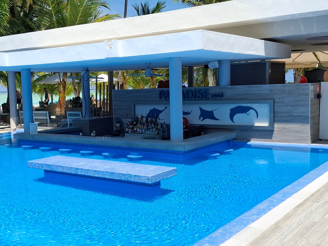Paradise Pool Bar